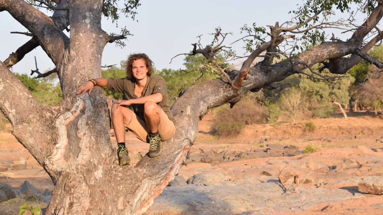 tree climbing, limpopo, by life connected, koro river camp