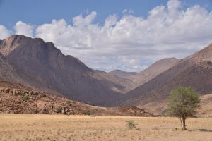 Read more about the article Damaraland – A Red Rocky Realm