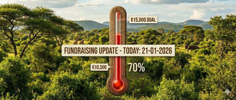 Read more about the article The Bridge to 2026 | Sustaining the Mission